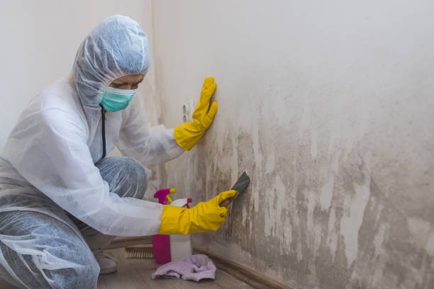 Biohazard Mold Removal in Red Hill, SC